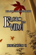 Libro Relatos de Superación: El Giro de Mi Vida, autor Julier del carmen Sotelo urbiñez Libro Relatos de Superación: El Giro de Mi Vida, autor Julier del carmen Sotelo urbiñez